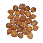 Laghu Nariyal