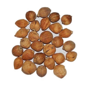 Laghu Nariyal