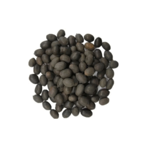 Lotus Seeds