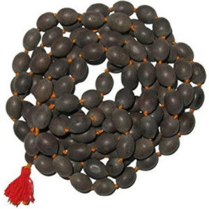 Kamalgatta Mala